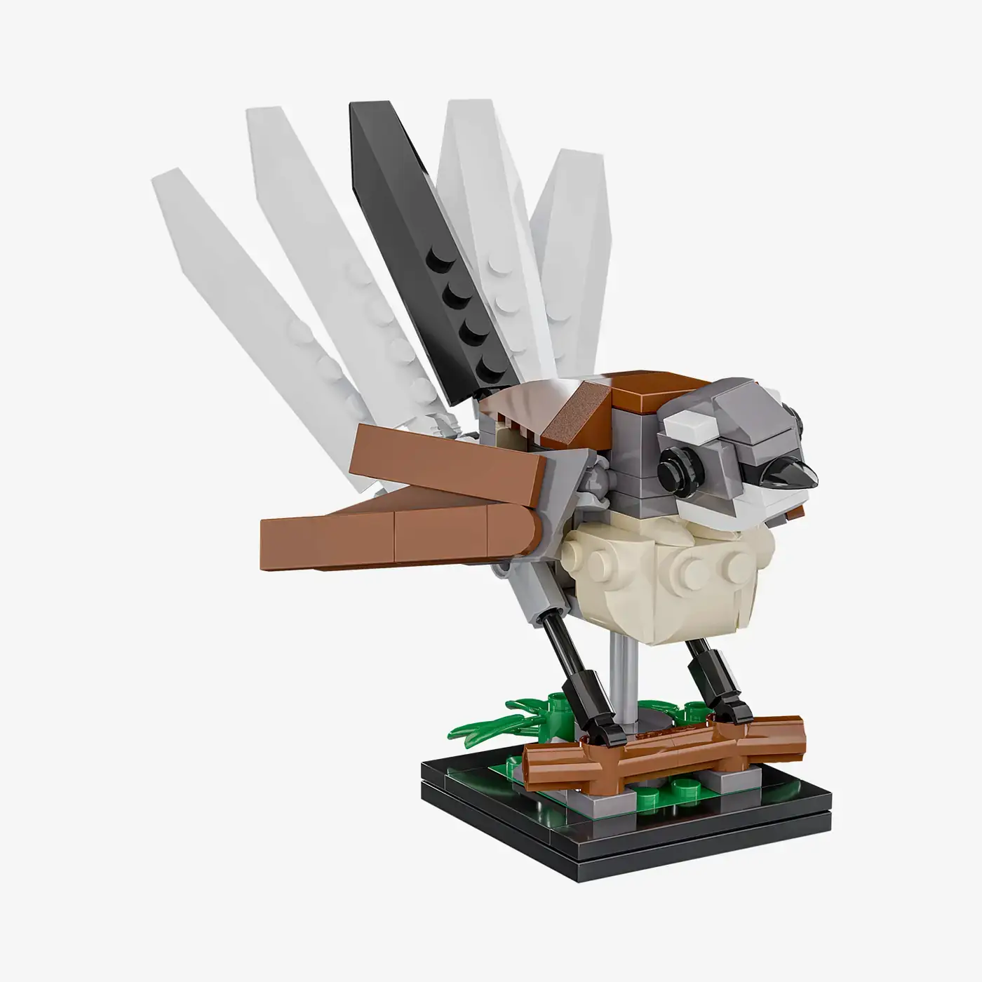 BlueBrixx Neuseelandfächerschwanz • Set 104700 • SetDB