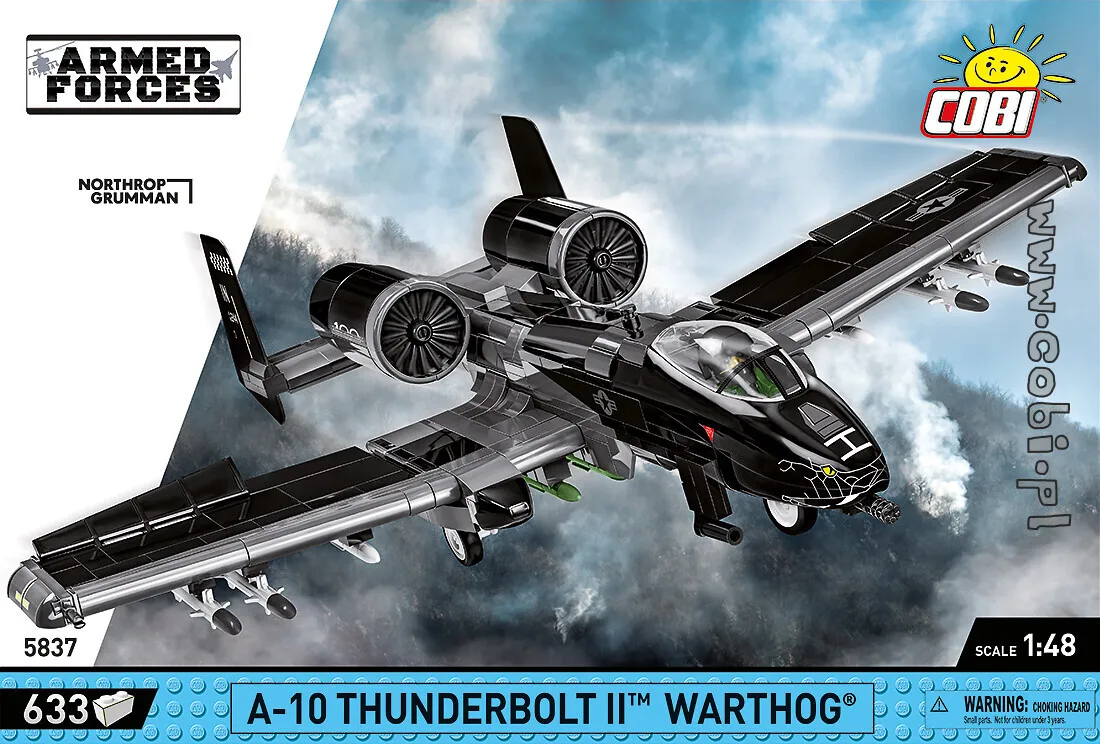 A-10 Thunderbolt II Warthog Gallery