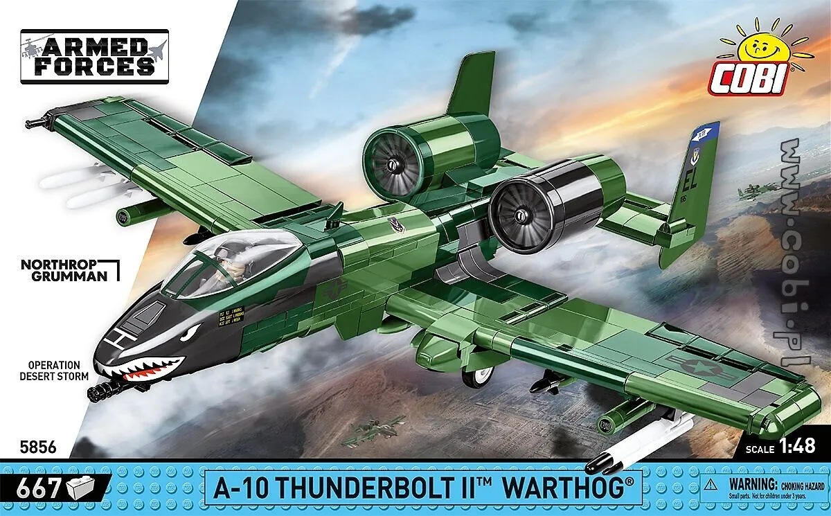 A-10 Thunderbolt II Warthog Gallery