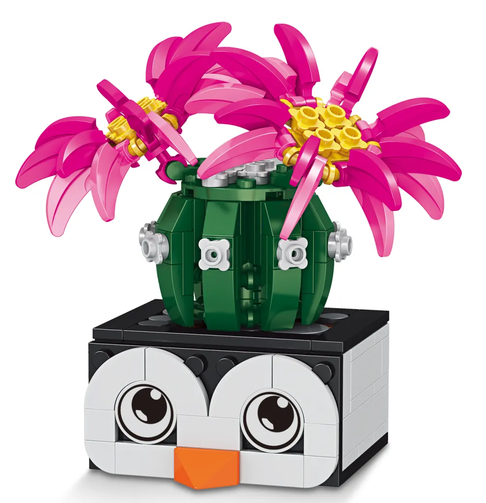 Cactus in a penguin pot Gallery