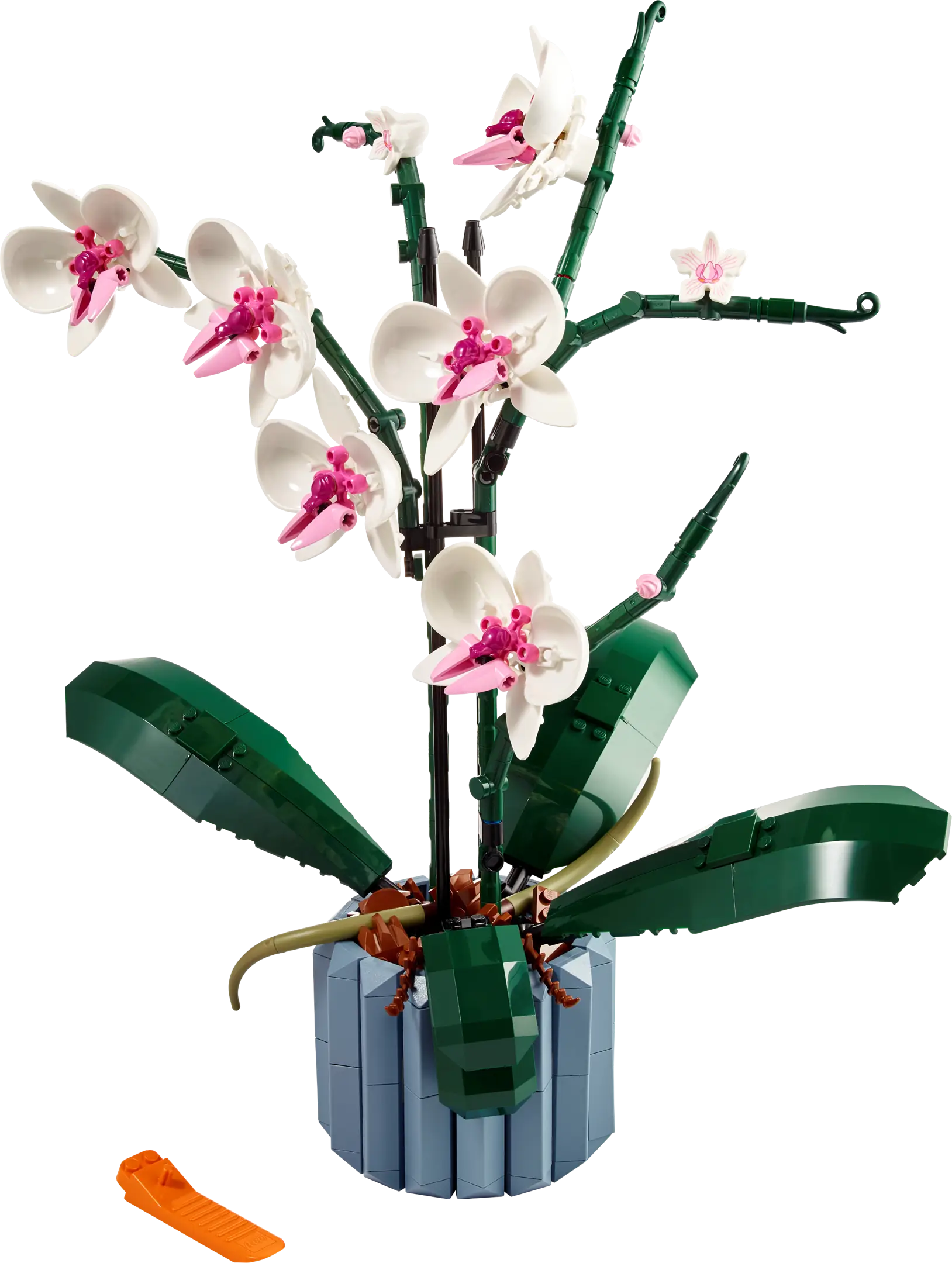 LEGO Icons Orchid • Set 10311 • SetDB • Merlins Bricks