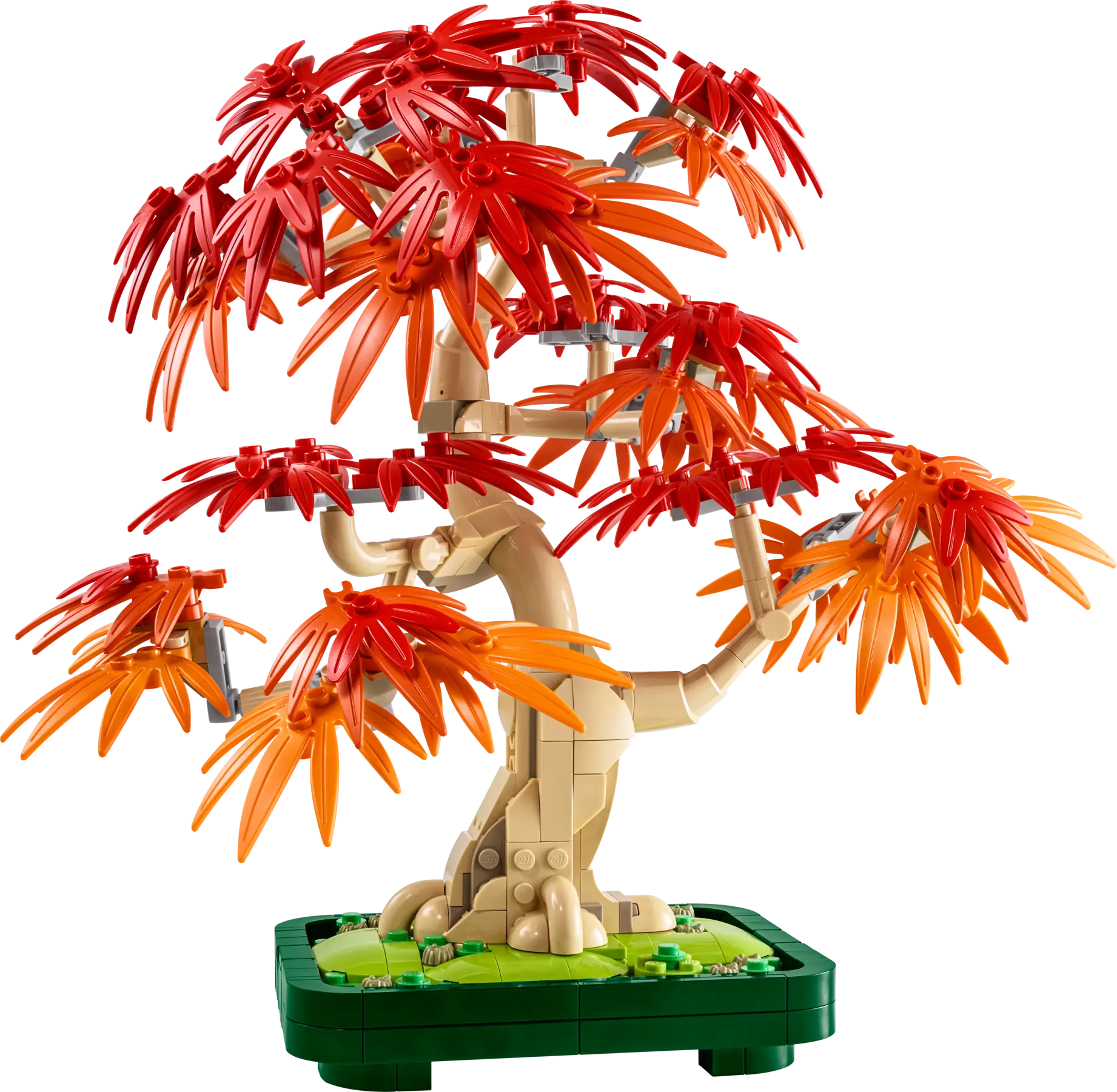 LEGO Botanical Collection Botanicals Japanischer Roter Ahorn Bonsai-Baum