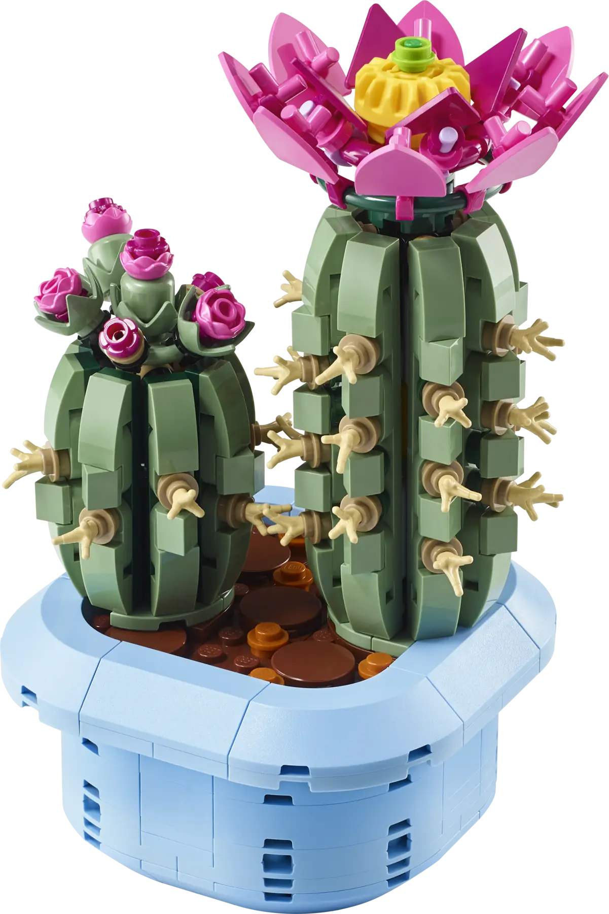 LEGO Botanical Collection Botanicals Blhender Kaktus