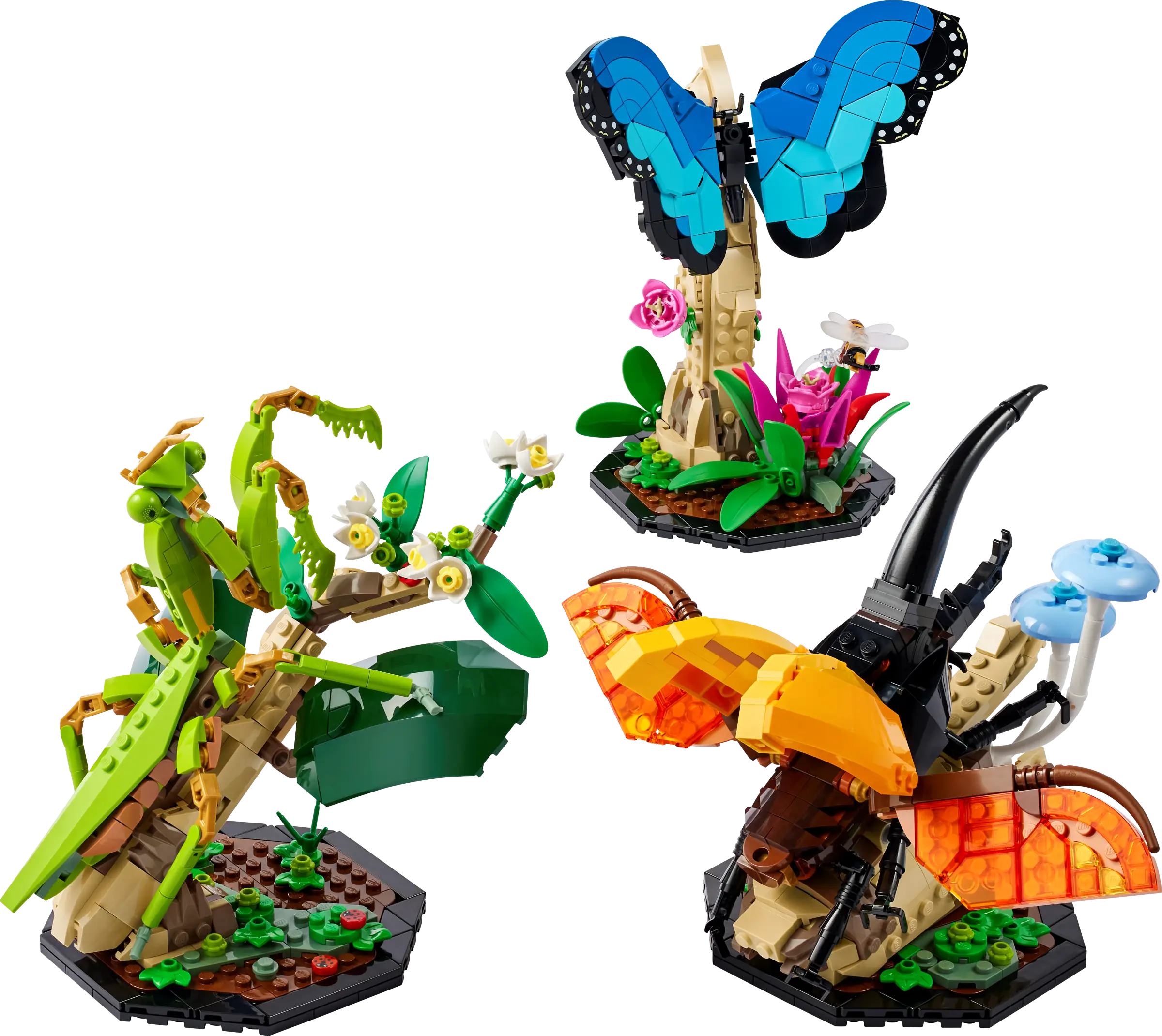 LEGO Ideas The Insect Collection • Set 21342 • SetDB