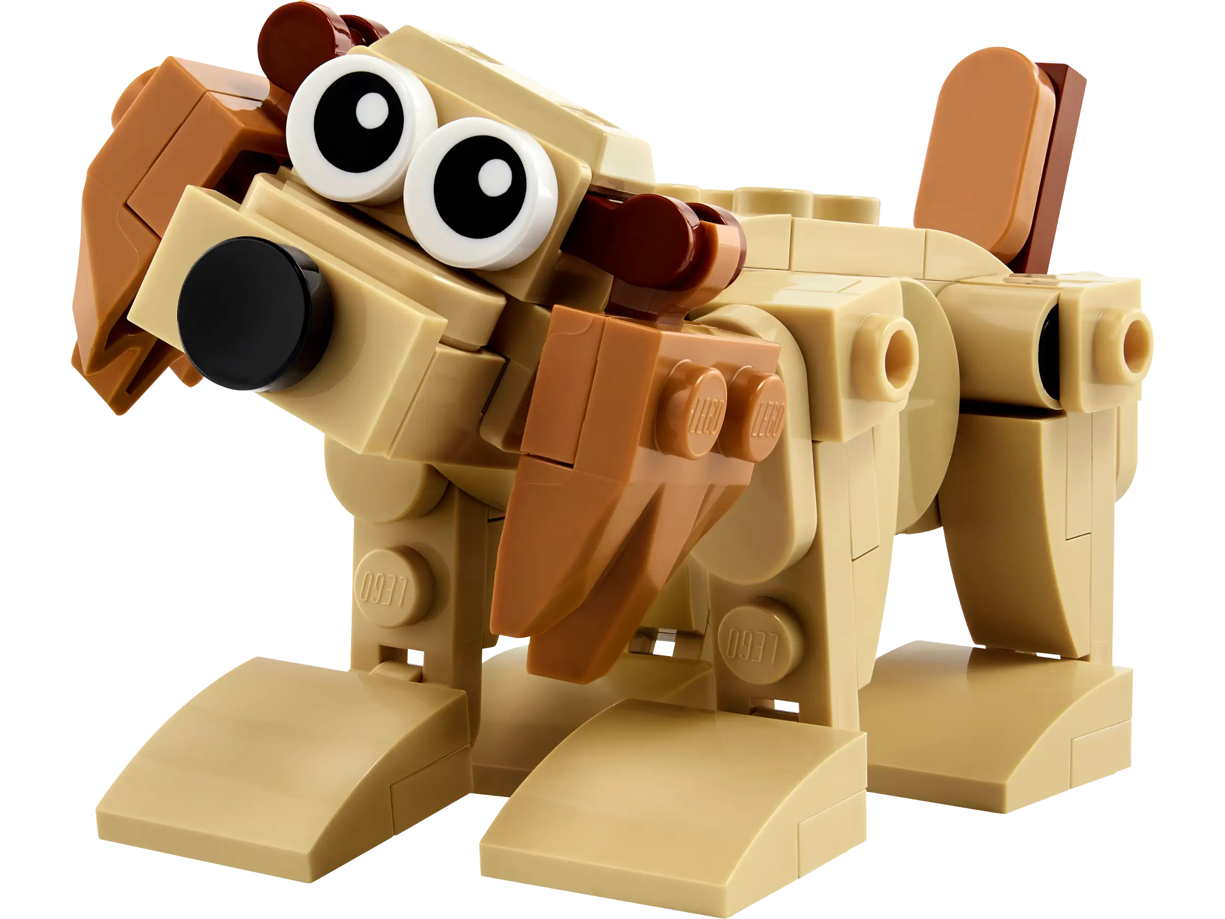 LEGO Creator Gift Animals & Aurora's Forest Playground