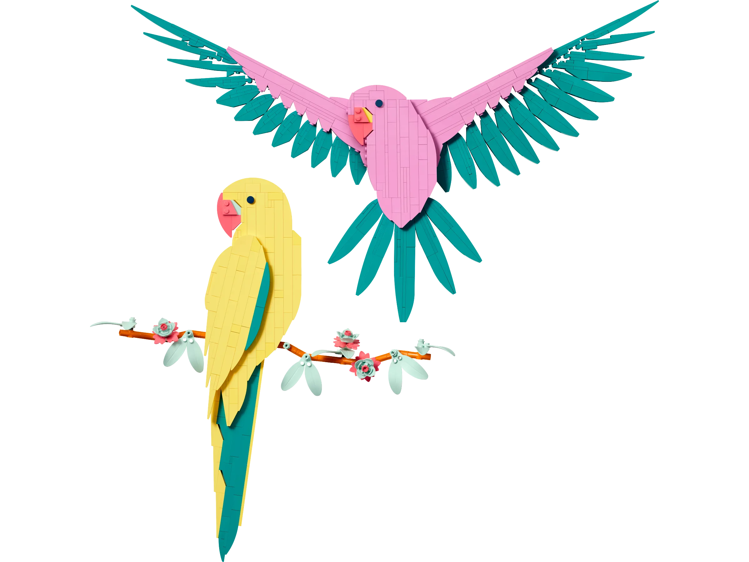 Art The Fauna Collection – Macaw Parrots Gallery