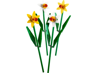 Creator Daffodils