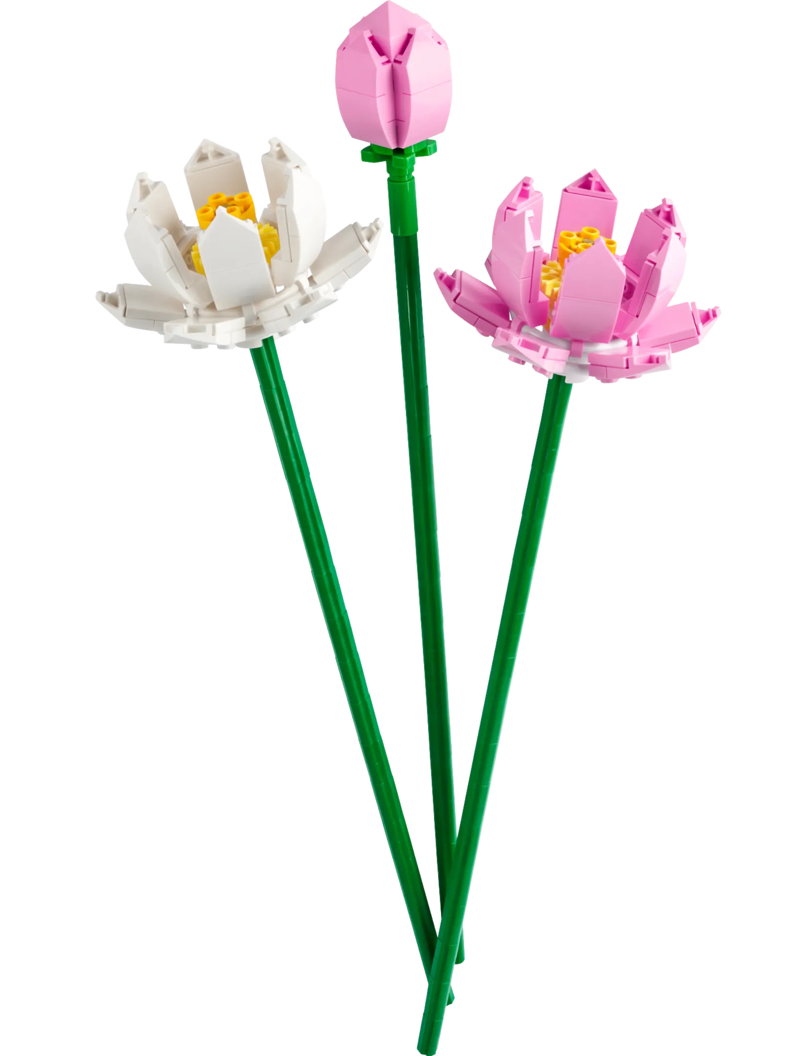 LEGO Creator Lotus Flowers • Set 40647 • SetDB