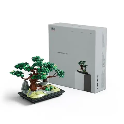 japan bonsai shop Mastering Shohin Japanese Black Pine Bonsai: A Step-by-Step Guide to  Cultivating and Growing Your Perfect Tree