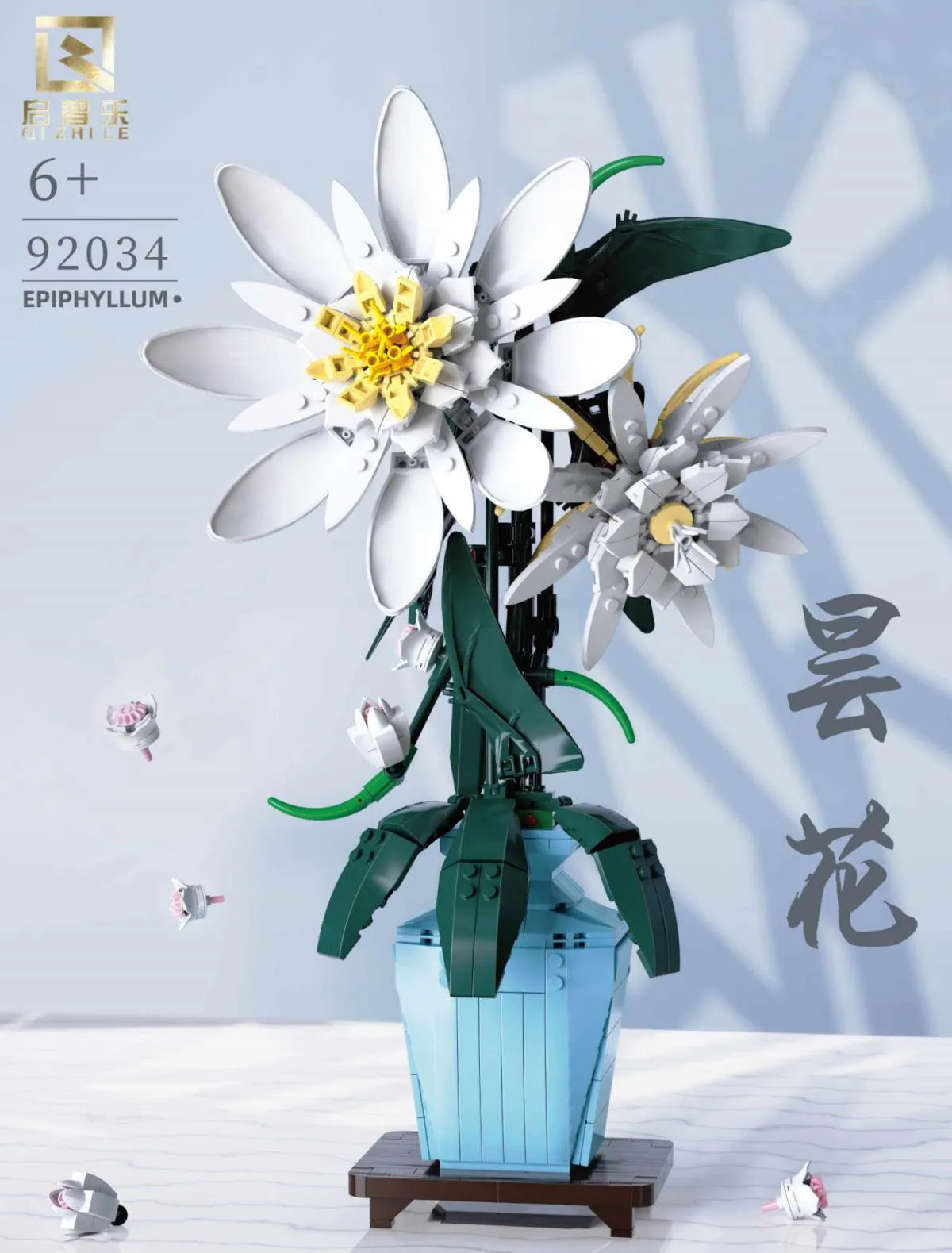 Qi Zhi Le - Epiphyllum | Set 92034