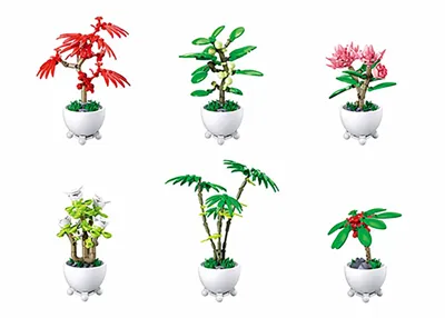 Potted Plants Tropical