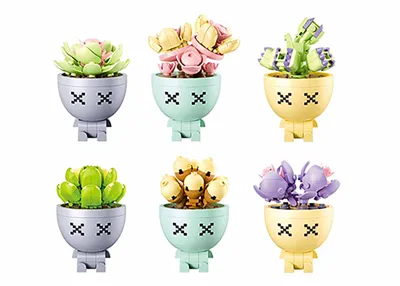 Potted Plants Succulant