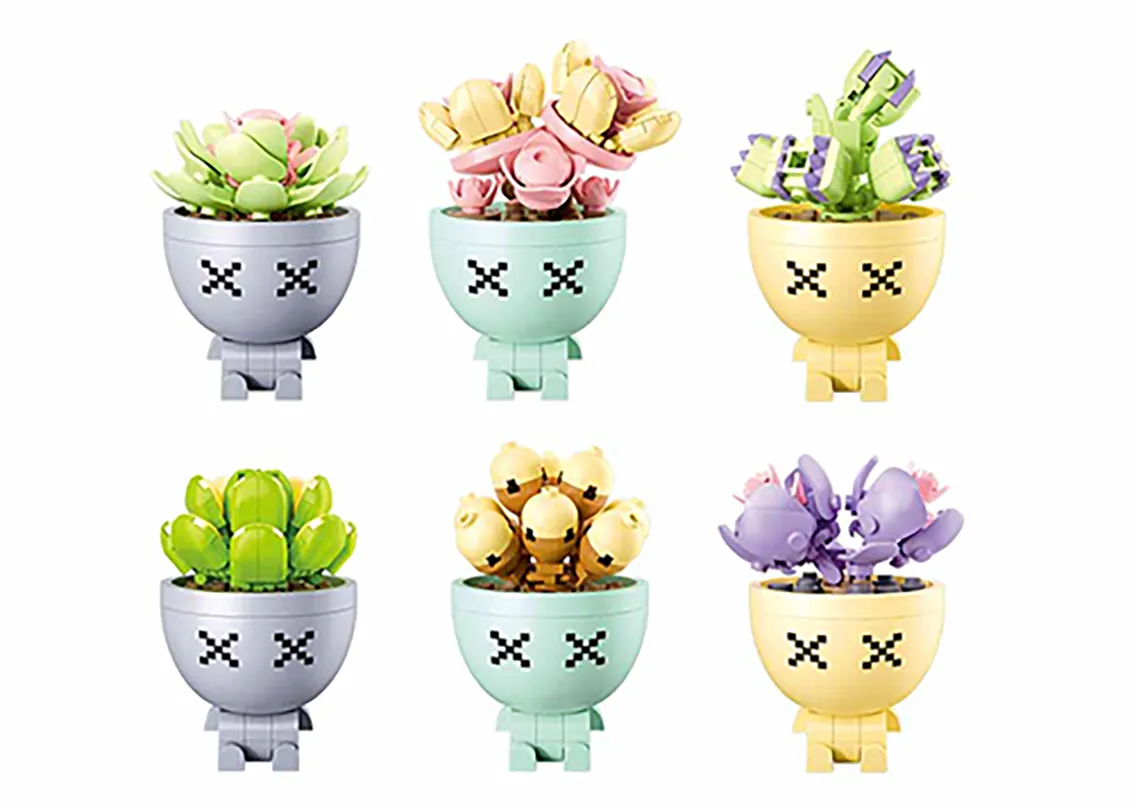 Potted Plants Succulant Gallery