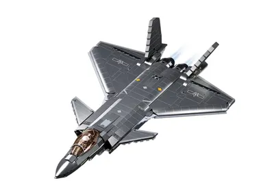 J20SS Stealth Aircraft Metal Coating Version