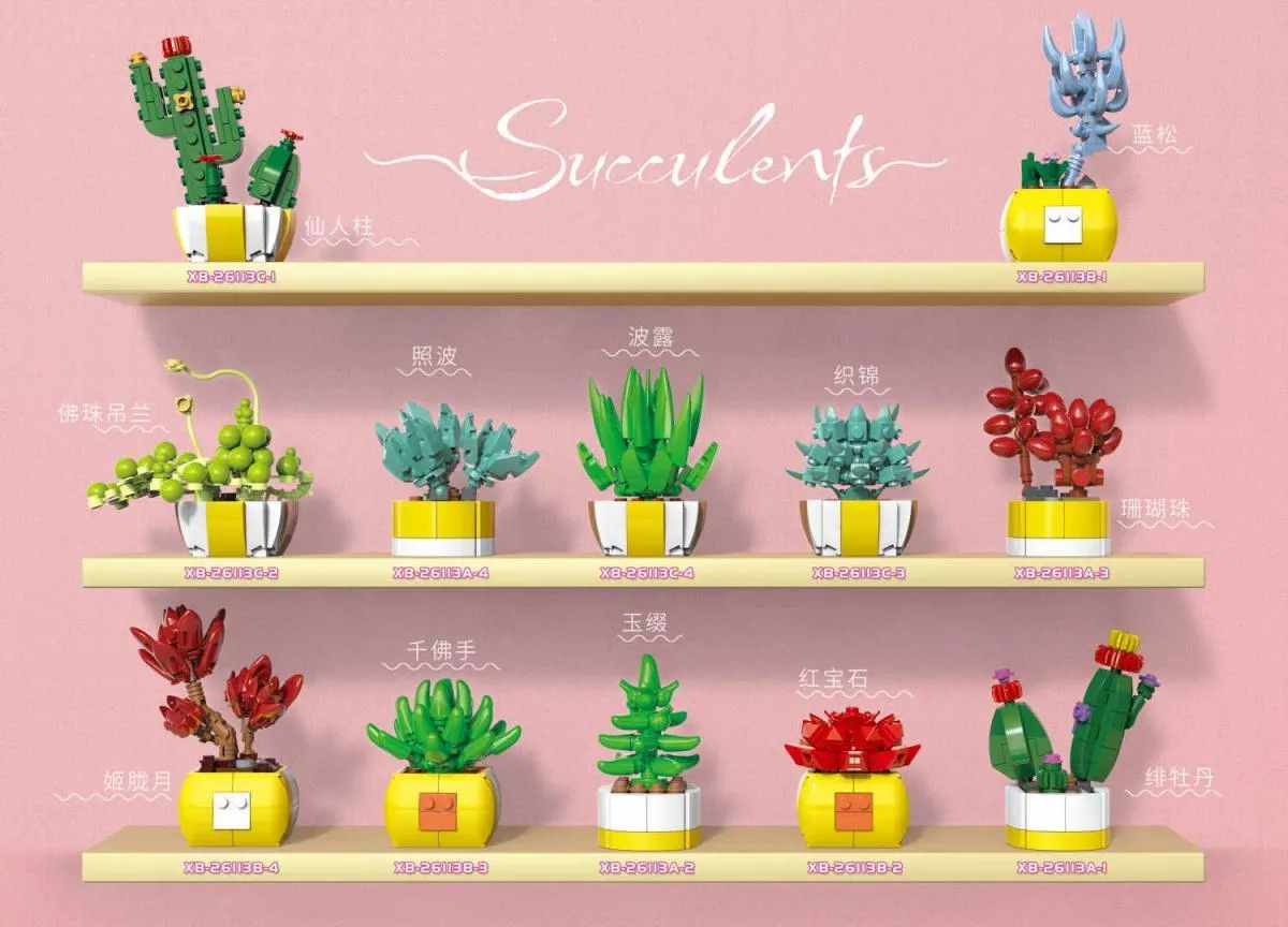 Succulents  Gallery