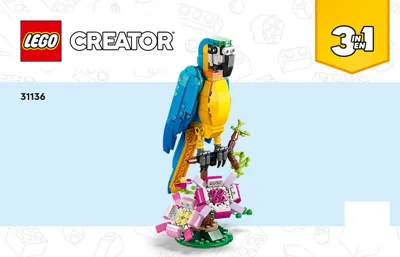 Manual Creator 3-in-1 Exotischer Papagei - 1