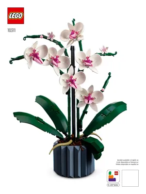 Manual Icons Botanical Collection Orchidee - 1