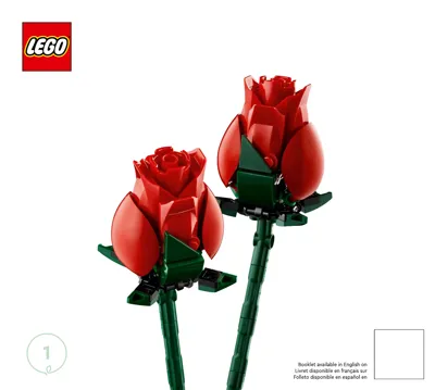 Manual Icons Botanical Collection Bouquet of Roses - 1