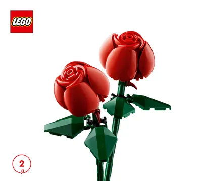 Manual Icons Botanical Collection Bouquet of Roses - 2