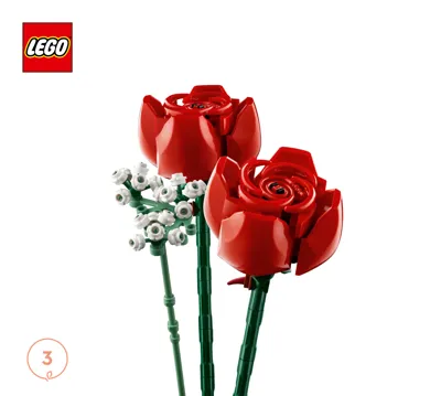 Manual Icons Botanical Collection Bouquet of Roses - 3