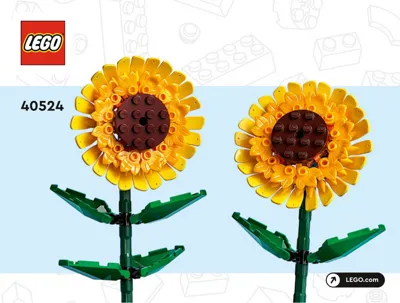 Manual Creator Sunflowers - 1