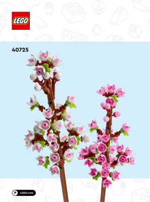 Manual Creator Cherry Blossoms - 1
