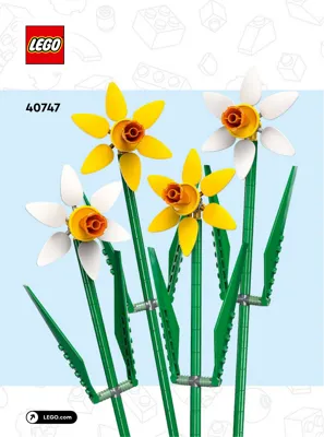 Manual Creator Daffodils - 1