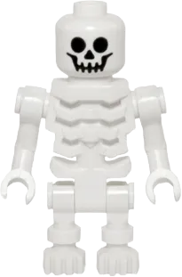 Ninjago lego skeleton sales